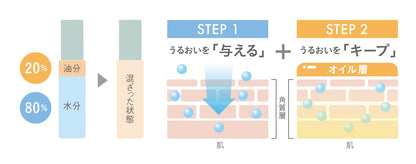 ROSE LABO マルチミスト